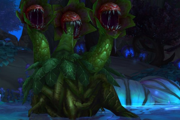 Kraken17at