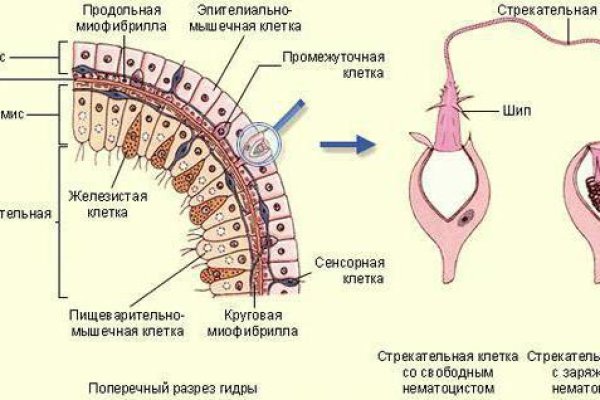 Кракен купить меф